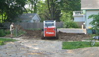 bobcat