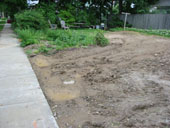 muddy yard