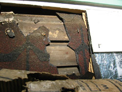 closeup of siding